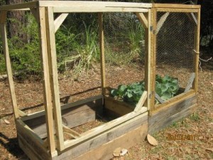 Raised Bed Ready For Wire To Keep The Squirrels Out Of The Garden