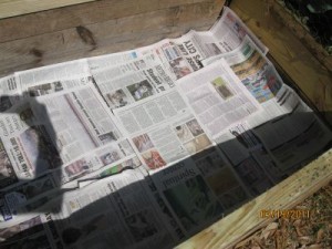 The Raised Bed Lined With Newspapers