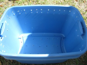 Worm Bin