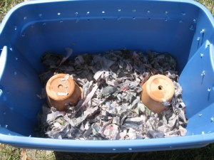 Worm Bin Bedding