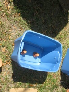 Worm Bin Design