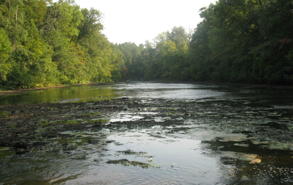 Canoeing In South Alabama