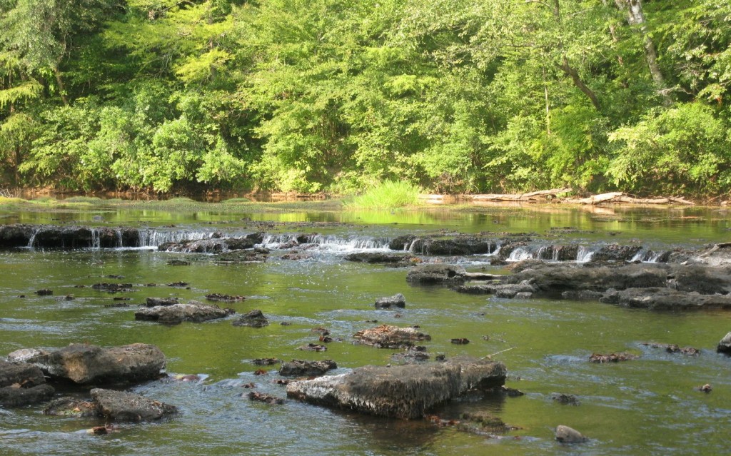 Canoeing In South Alabama