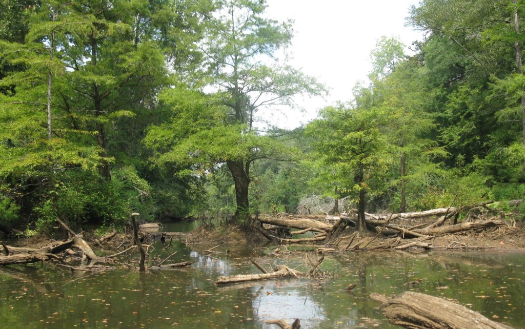 Canoeing In South Alabama