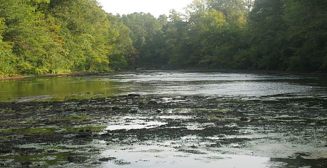 Canoeing-In-South-Alabama-C